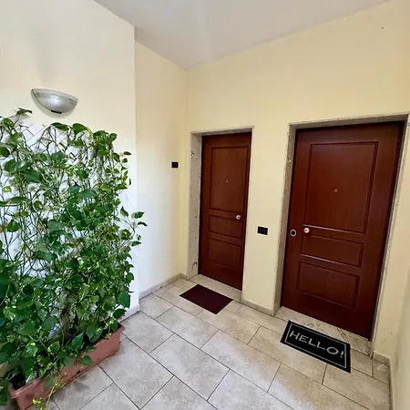 New Bazaar Cozy 3 Daire *